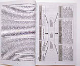 НУШ Орієнтовний календарно-тематичний план творчого вчителя «Українська мова та читання. 2 клас», фото 4