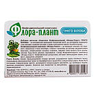 БАД Гінкго білоба, 40 таблеток, Флора-плант, фото 4