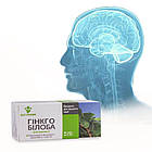 Гінкго білоба з вітаміном С, 80 таблеток, Еліт-фарм, фото 6