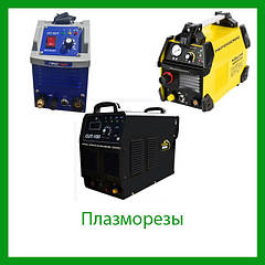 Плазморізи