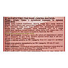 Фіточай "Зимова фантазія", 20 пакетиків, Мудрість Природи, фото 4