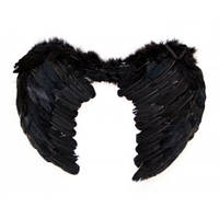 Маскарадні крила