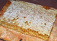 Мед в сотах (липа с разнотравьем) , 1 кг