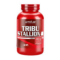 Бустер тестостерону Activlab Tribu Stallion 60 капс