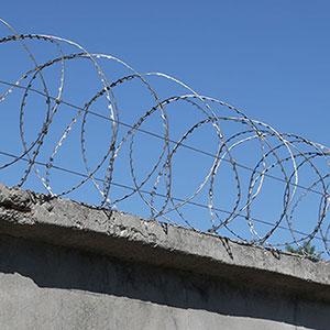 Колючая проволока Гюрза 400/3 спираль СББ: купить, цена производителя ...