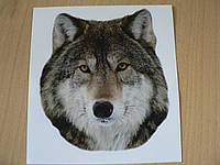 Наклейка ПП звери Волк 146х165мм виниловая цветная с ободком на авто морда волка