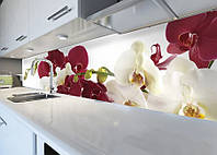 60x300 см Виниловый кухонный фартук, самоклейка на стену, наклейки на кухню Орхидеи бордовые и белые