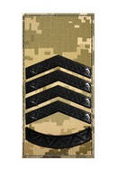 Погони ЗСУ - Головний сержант (олива, мм14)