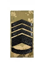 Погоны  ЗСУ - Головний майстер-сержант (олива, мм14)