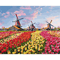 Картина за номерами "Барвисті тюльпани Голландії", 40х50см