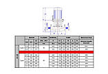 Насос типу In-Line Mas Daf INM 40-125 0,37 кВт/1450об, фото 2