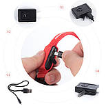 Нашийник з LED-підсвіткою червоний Pets Collar S, фото 6