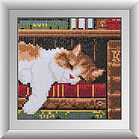 Алмазна мозаїка "Кошеня на книжковій полиці" Dream Art 17x17см 30363