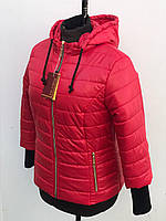Женская весенняя короткая куртка на синтепоне с рукавом 3/4 в красном цвете 42-60 размеры