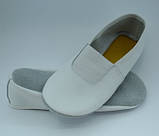 Чешки білі шкіряні для танців та гімнастики, фото 4