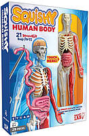 Набір для вивчення тіла скелет і органи сквиш SmartLab Squishy Human Body