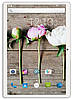 Планшет-телефон ASUS Z101 Prime 3GB/32GB, 3G, 10.1 IPS + Чохол у Подарунок!, фото 8