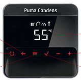 Газовий конденсаційний котел Puma Condens 18/24 MKV-AS/1 (Пума Конденс) Protherm, фото 2