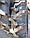 Шина 9.5-24 8PR  R-1 TT  Armour, фото 6