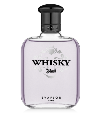 Туалетная вода Evaflor Whisky Black EDT 100ml (Евафлор Виски Блек) - фото 2 - id-p1234939183