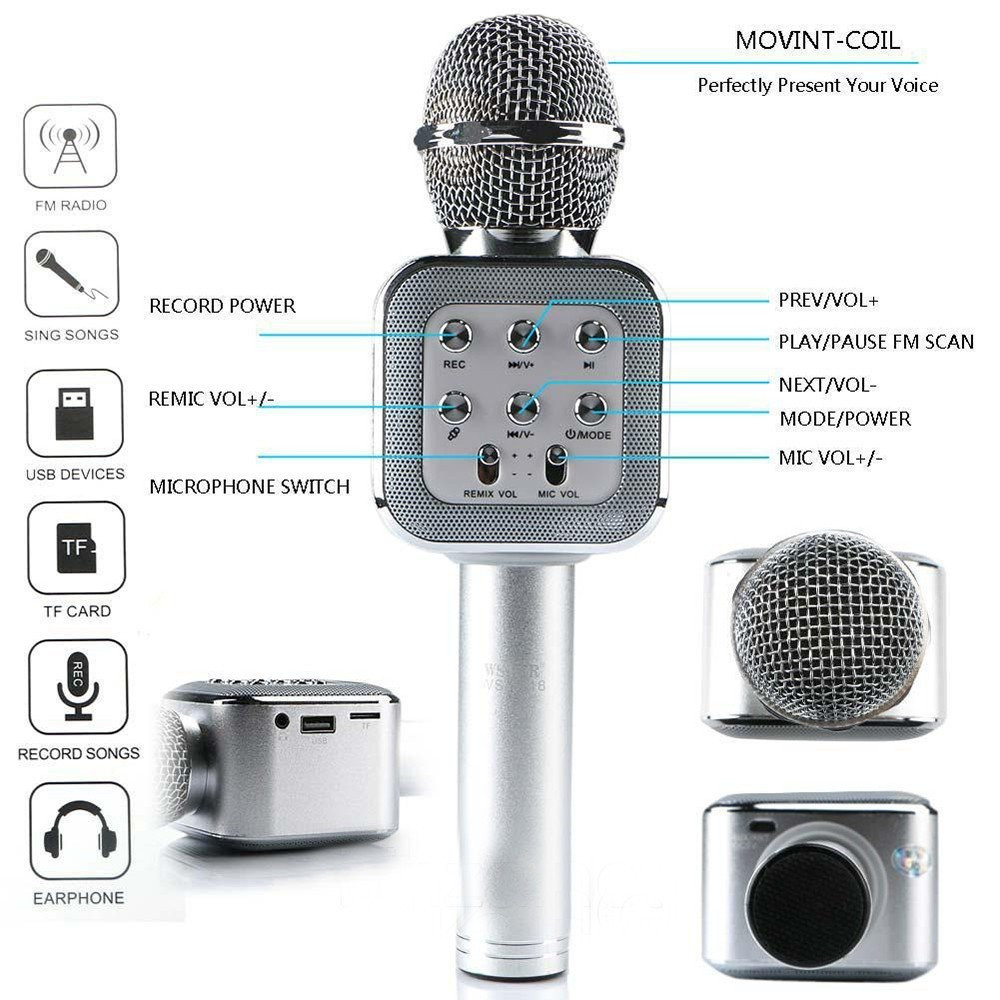 Мікрофон DM Karaoke WS 1818