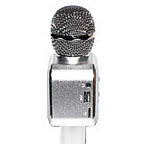Мікрофон DM Karaoke WS 1818, фото 3