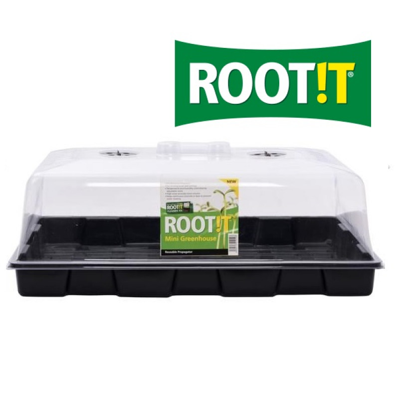 Великий пропагатор ROOT!T 57x37x20cm