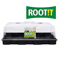 Великий пропагатор ROOT!T 57x37x20cm