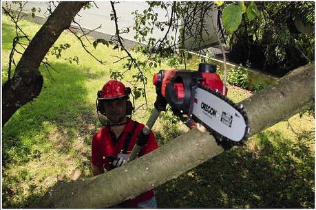 Висоторіз акумуляторний Einhell GE-LC 18 LI T Solo, фото 1