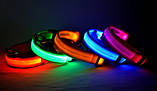 Нашийник з LED-підсвіткою блакитний Pets Collar XS, фото 9