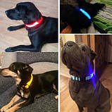 Нашийник з LED-підсвіткою блакитний Pets Collar XS, фото 3
