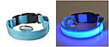 Нашийник з LED-підсвіткою блакитний Pets Collar XS, фото 5