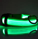 Нашийник з LED-підсвіткою зелений Pets Collar M, фото 3