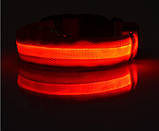 Нашийник з LED-підсвіткою червоний Pets Collar M, фото 2