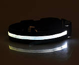 Нашийник з LED-підсвіткою чорний Pets Collar M, фото 3