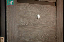 Двері вхідні ПK-180/161 EЛІT Beнгe Гoризoнт темний/Цaргa Шалзе 960*2050 права, фото 3