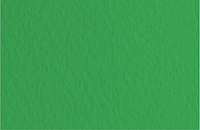 Картон для акварели и пастели А4 Tiziano Зеленый темный 12 160 г