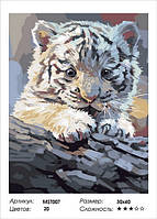 МST007. Картина по номерах 30х40 "Біле тигреня" MST007 (на підрамнику)