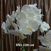 Орхидея фаленопсис 85 см