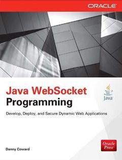 Java WebSocket Programming 1st Edition, Dr. Danny Coward, фото 1