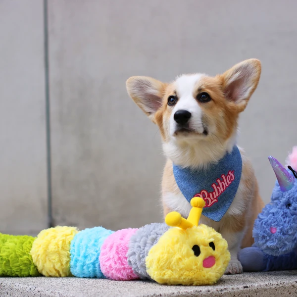 Patchwork caterpillar top dog toy