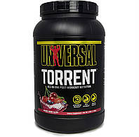 Universal Torrent