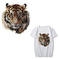 Термонаклейка на футболку или куртку Тигр