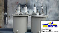 Трансформатор напруги НОМ-6, НОМ-10 Трансформатор НОМ-10