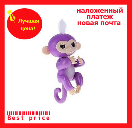 Fingerlings best price 2025
