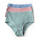 Комплект жіночої нижньої білизни. Набір бавовняний з ліфа і 2-х трусиків, розмір L (рожевий), фото 7