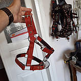 Невузлик для коня full, фото 3