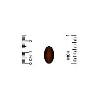 Астаксантин (Astaxanthin) California Gold Nutrition, 12 мг 120 таблеток, фото 4