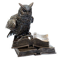 Статуетка Сова на книгах Veronese 17 см 74110A4, символ мудрості