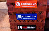 Керамічний блок ECOBLOCK-25 (Розсинія), фото 4